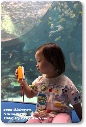 美之海水族館3.jpg 美之海水族館3.jpg