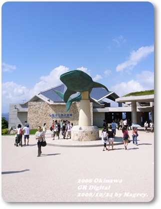 美之海水族館5.JPG 美之海水族館5.JPG