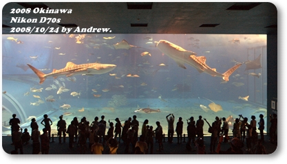 美之海水族館6.jpg 美之海水族館6.jpg