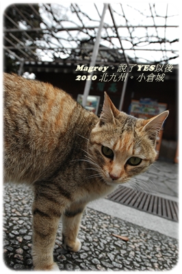 小倉城03.JPG 小倉城03.JPG