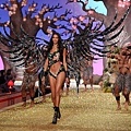 VSFS 2010