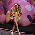 VSFS 2009