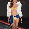 VSFS 2009