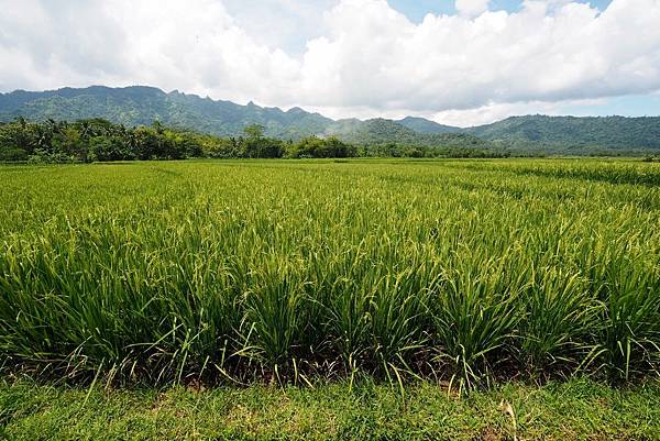 P2280122.jpg P2280122.jpg