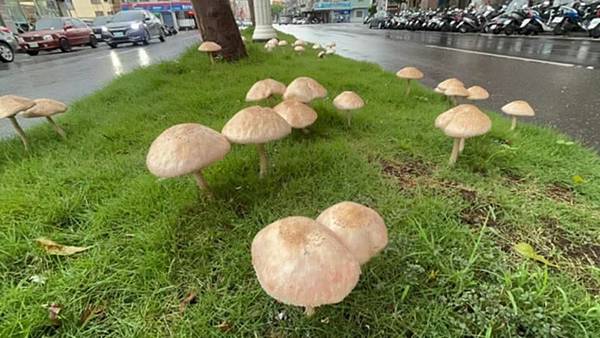 這場雨，總算下完