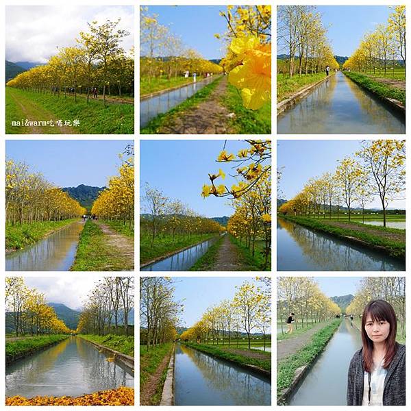 42-風鈴木1.jpg 42-風鈴木1.jpg