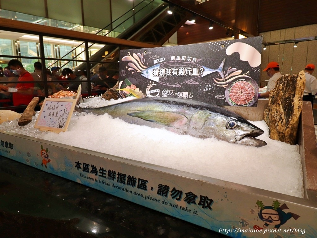 IMG_8524.JPG