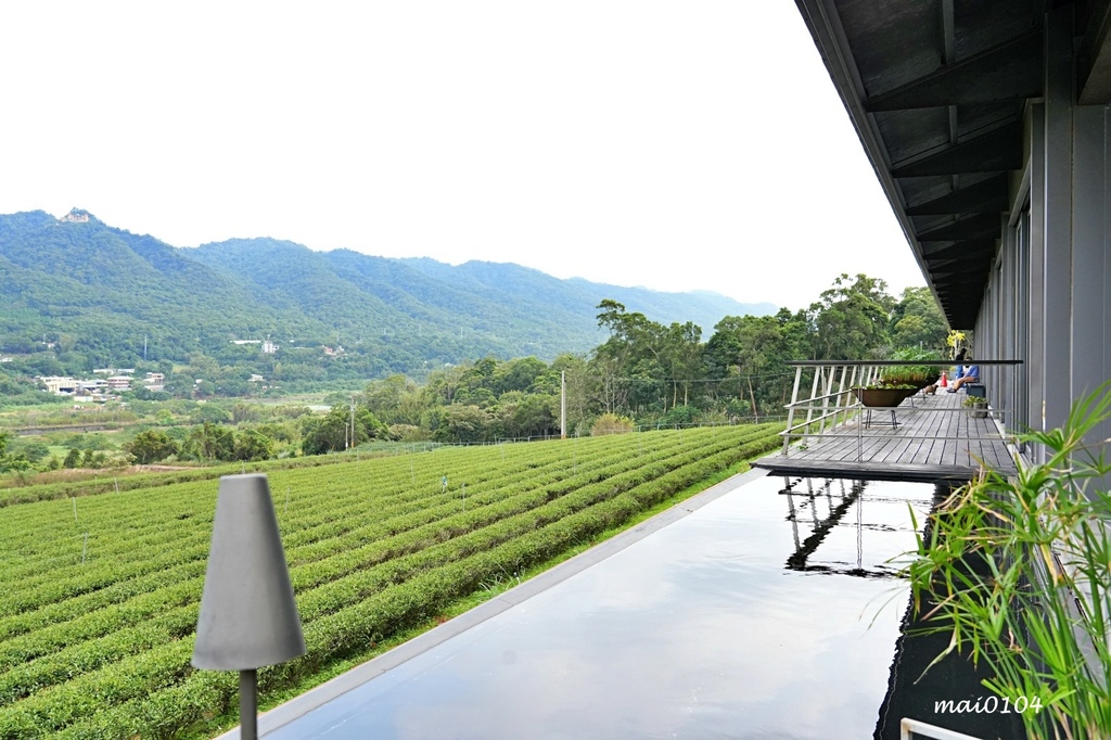 苗栗景點｜苗栗銅鑼茶廠～不用跑到高山上也能享受茶園靜謐之美，