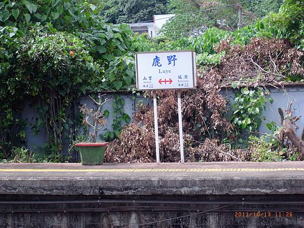 原本要到鹿野