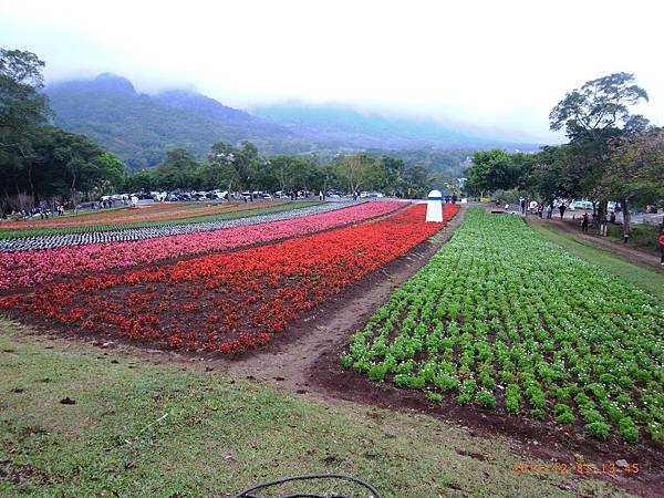 大溪花海農場