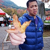 兩蔣文化園區 兩蔣文化園區