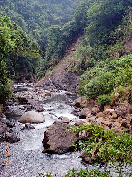 小烏來步道