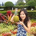 Dole Plantation