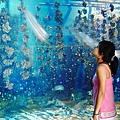 @國立海洋生物博物館(Naional Museum of Marine Biology)