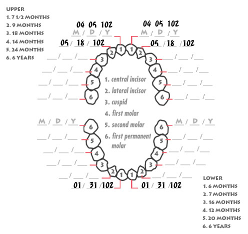 chart-cage03