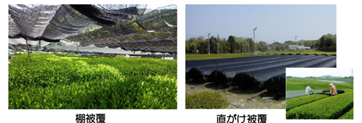 被覆的方法-圖片來源參考資料(1)