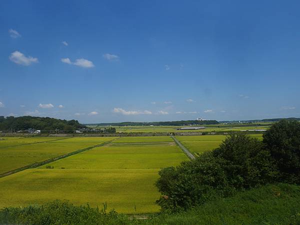 20230820 千葉家最後的據點-本佐倉城