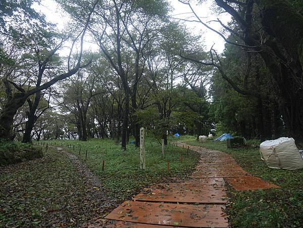 20231021　東日本鮮少的總石垣平山城-村上城