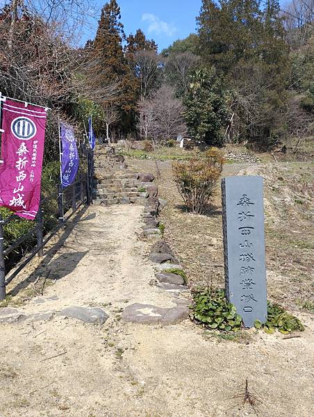 20250322 伊達氏天文之亂的舞台-桑折西山城