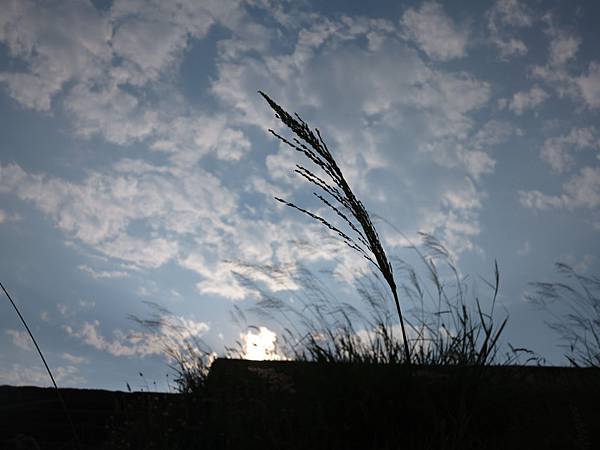 IMG_0067.JPG IMG_0067.JPG