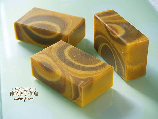 生命之木01.jpg 生命之木01.jpg