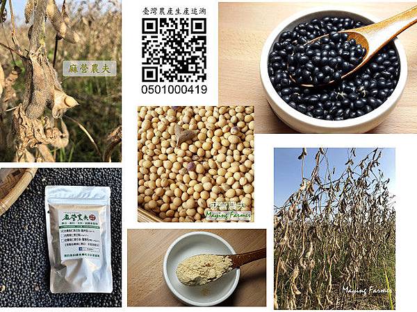 10602黑豆-4 10602黑豆-4