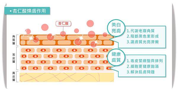 杏仁酸煥膚作用圖