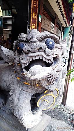 P8020078.jpg P8020078.jpg