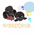 Welcome01.gif