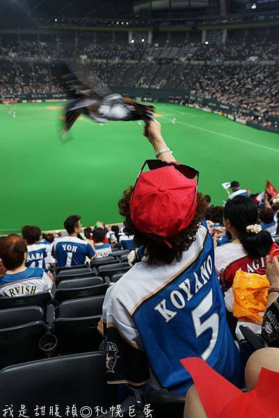 DSC02875.jpg DSC02875.jpg