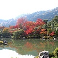 天龍寺庭園