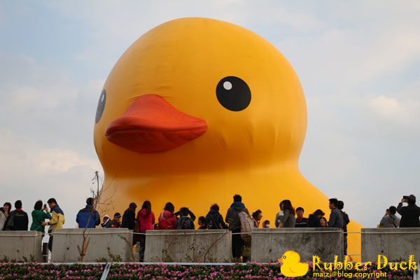 Rubber Duck -2.jpg