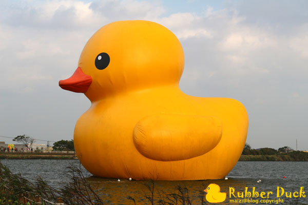 Rubber Duck -3.jpg