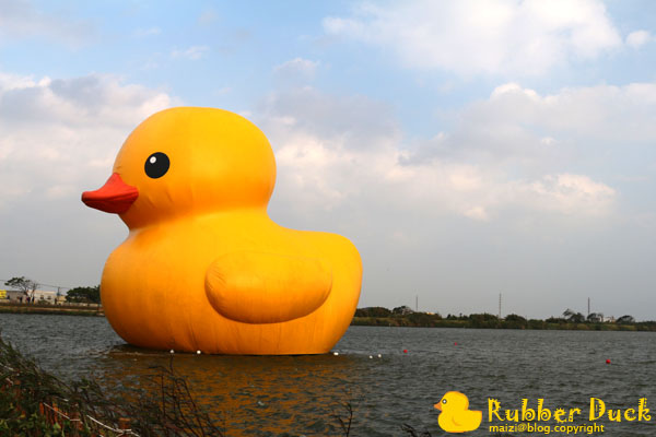 Rubber Duck -4.jpg