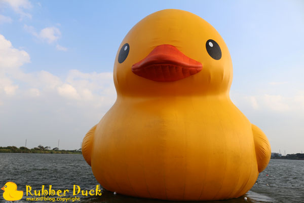 Rubber Duck -6.jpg