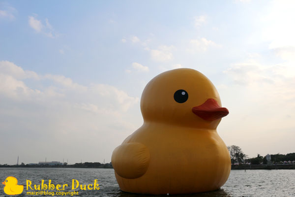 Rubber Duck -7.jpg