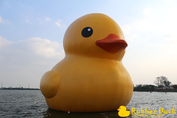 Rubber Duck -8.jpg