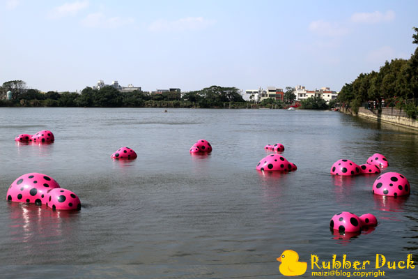 Rubber Duck -20.jpg