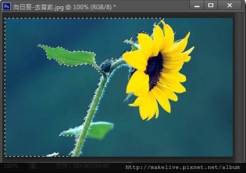 去背-4.jpg 去背-4.jpg