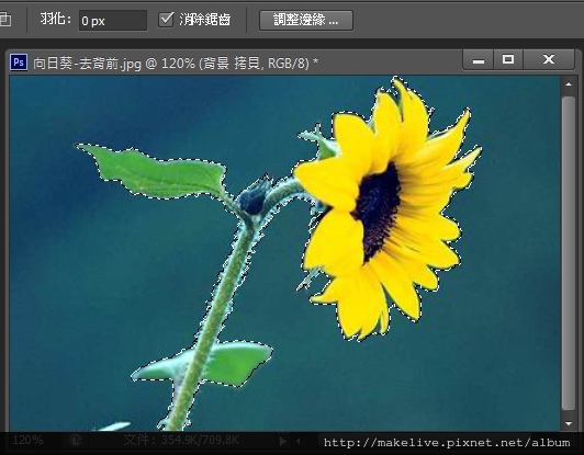 去背-11.jpg 去背-11.jpg