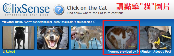 Clixsense如何賺錢－點擊廣告2