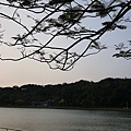 碧湖公園