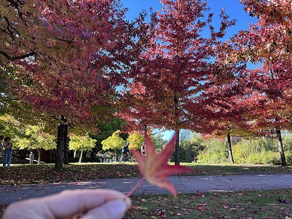 Biking Stanley Park: Best way 