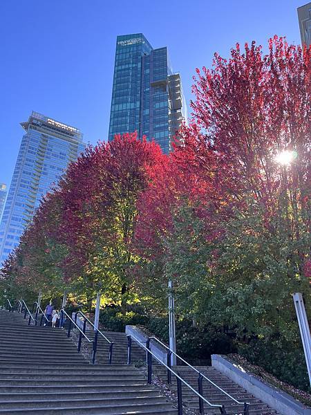 Biking Stanley Park: Best way 