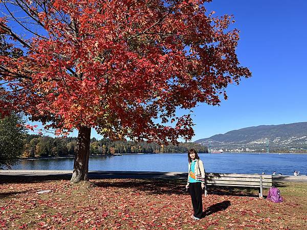 Biking Stanley Park: Best way 