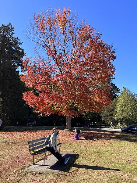 Biking Stanley Park: Best way 