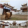 1120422青海 貴德-甘南 北溝台-夏河 甘加 白石崖寺院 拼圖(16).jpg