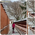 1120423甘南 夏河 拉卜楞寺 桑科濕地-若爾蓋 尕海湖 郎木寺 拼圖(9).jpg