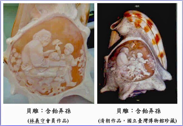 中華民國貝類學會 痞客邦 中華民國貝類學會 痞客邦