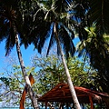 DSC07308.JPG